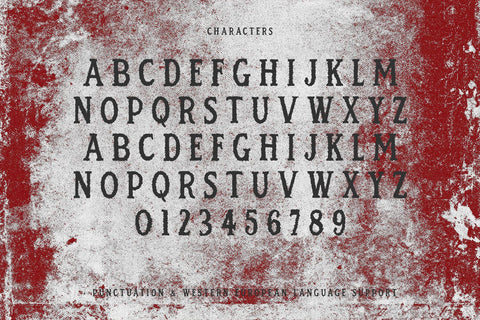 Rage Room Serif Font Beck McCormick 