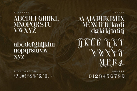 Rahiska - Elegant & Classy Serif Font studioalmeera 