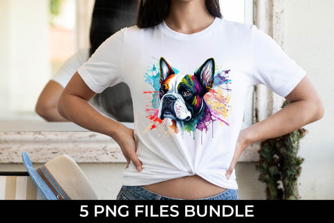 Rainbow Boston Terrier Dog Watercolor Bundle Free For Commercial Use Sublimation Sintegra 