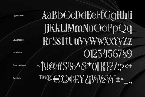 Rainhalf – Decorative Serif Display Font with Swashes & Alternates Font Arterfak Project 