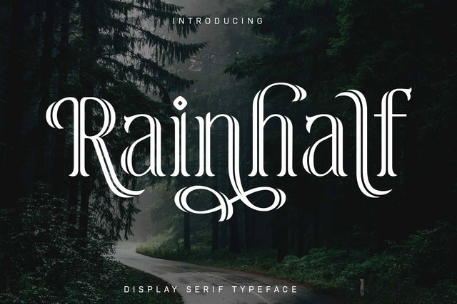 Rainhalf – Decorative Serif Display Font with Swashes & Alternates Font Arterfak Project 