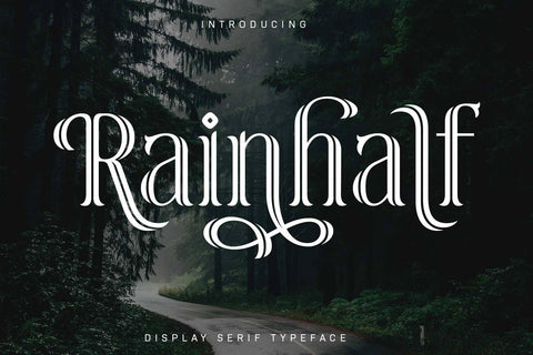 Rainhalf – Decorative Serif Display Font with Swashes & Alternates Font Arterfak Project 