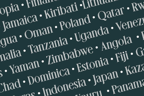 Rainhalf – Decorative Serif Display Font with Swashes & Alternates Font Arterfak Project 