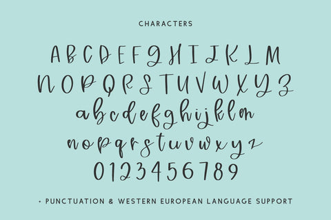 Raintree Calligraphy Script Font Beck McCormick 