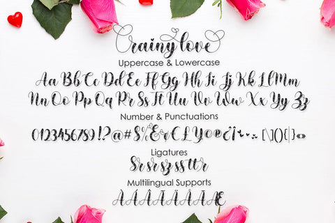 Rainy Love | Lovely Calligraphy Font studioalmeera 