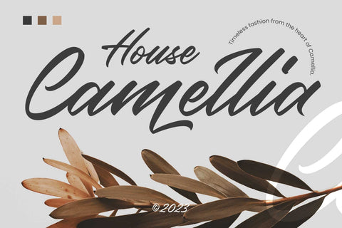 Rainylock – Handwritten Script Font Arterfak Project 