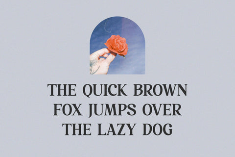 Rakonde - Classy & Stylish Serif Font studioalmeera 