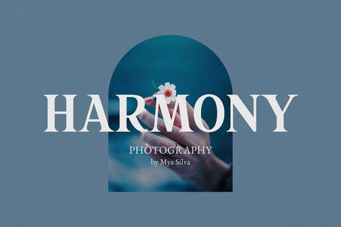 Rakonde - Classy & Stylish Serif Font studioalmeera 