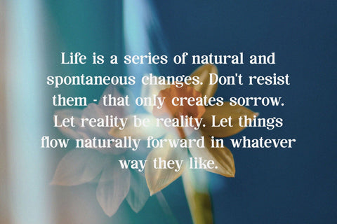 Rakonde - Classy & Stylish Serif Font studioalmeera 