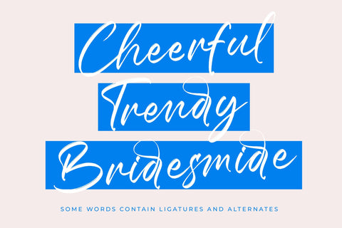 Ralloy Pittars - Bold Brush Font Font Letterena Studios 