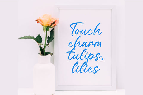 Ralloy Pittars - Bold Brush Font Font Letterena Studios 