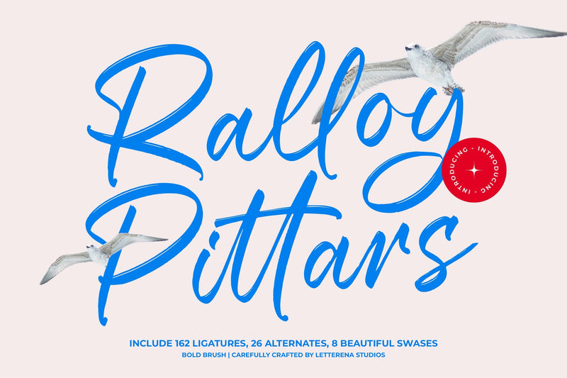 Ralloy Pittars - Bold Brush Font Font Letterena Studios 