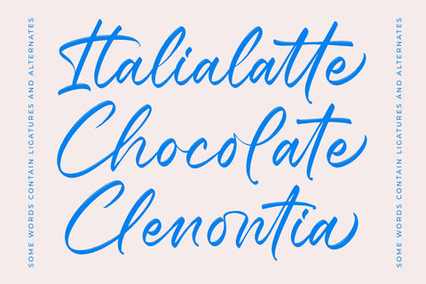 Ralloy Pittars - Bold Brush Font Font Letterena Studios 