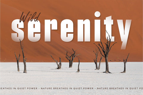 Rangely - Modern Bold Sans Font studioalmeera 