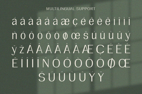 Rankle - Sans Serif Font Alpaprana Studio 