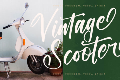 Ranterlone Nightfall - Modern Calligraphy Font Font Letterena Studios 