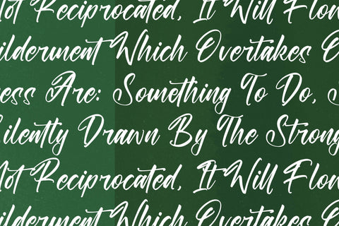 Ranterlone Nightfall - Modern Calligraphy Font Font Letterena Studios 