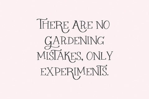 Raspberry Garden Serif Font Beck McCormick 