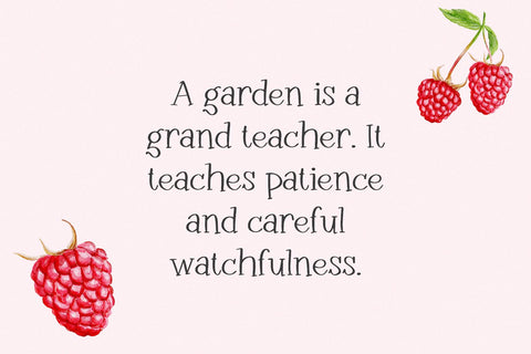 Raspberry Garden Serif Font Beck McCormick 