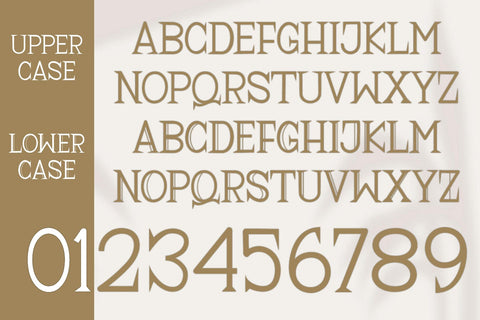 Rasque Serif Font Afandi Studio 