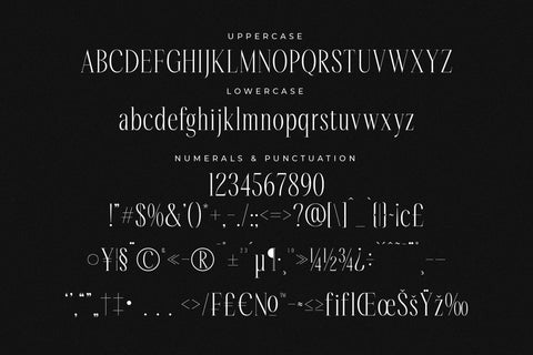 Rastofi - Modern Ligature Serif Font Letterena Studios 