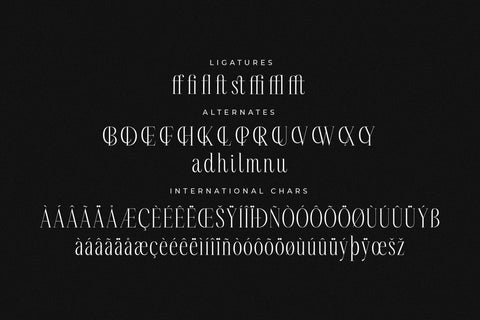 Rastofi - Modern Ligature Serif Font Letterena Studios 