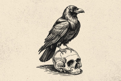 Raven On Skull Vector Illustration, Raven Svg, Skull Png, Raven Art, Skull Clipart, Cut Files, Raven Silhouette, Gothic Raven, Dark Skull SVG DesignDestine 