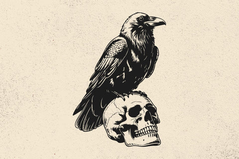 Raven On Skull Vector Illustration, Raven Svg, Skull Png, Raven Art, Skull Clipart SVG DesignDestine 