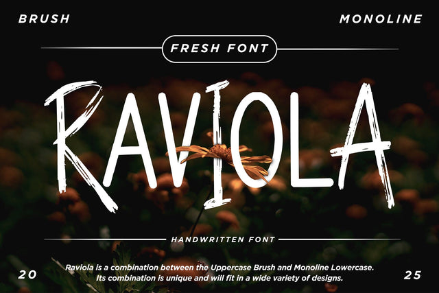 Raviola Font Dm Letter Studio 