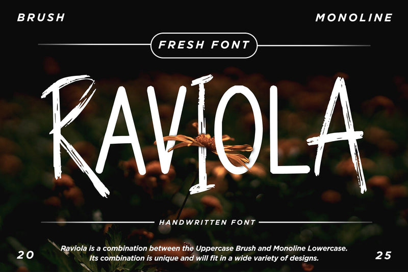 Raviola Font Dm Letter Studio 