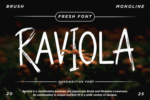 Raviola Font Dm Letter Studio 