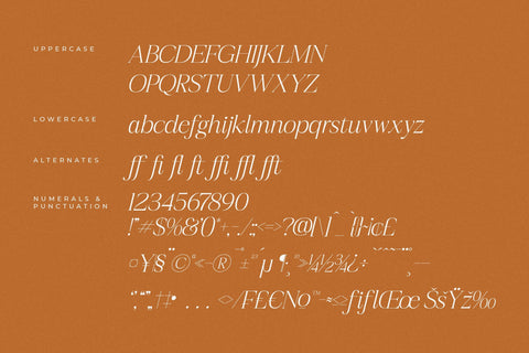 Realife Moment - Modern Serif Font Font Letterena Studios 