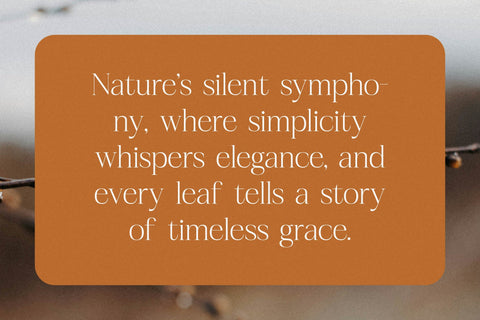 Realife Moment - Modern Serif Font Font Letterena Studios 