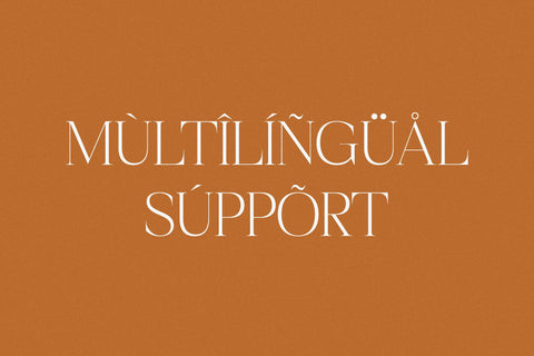 Realife Moment - Modern Serif Font Font Letterena Studios 