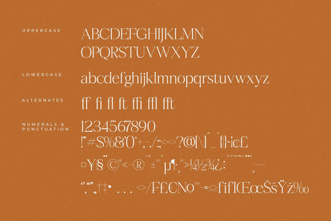 Realife Moment - Modern Serif Font Font Letterena Studios 