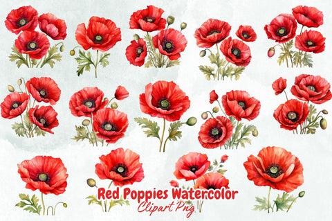 Red Poppies Watercolor Sublimation Bundle Sublimation Designangry 