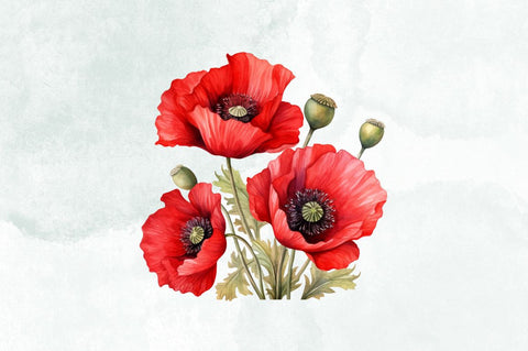 Red Poppies Watercolor Sublimation Bundle Sublimation Designangry 