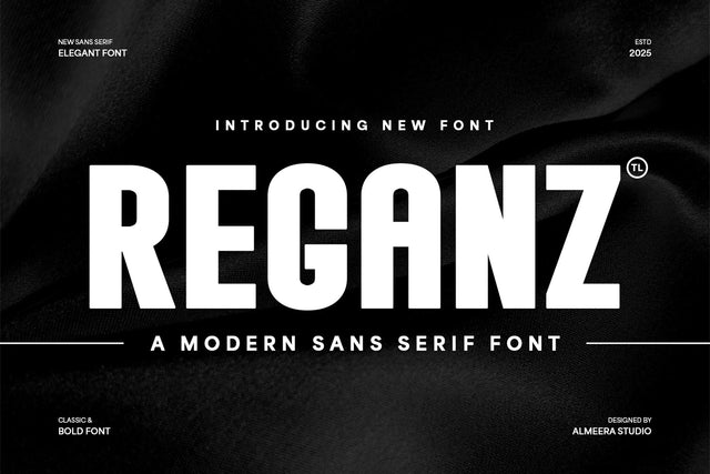 Reganz - A Modern Sans Serif Font Font studioalmeera 