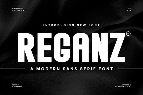 Reganz - A Modern Sans Serif Font Font studioalmeera 