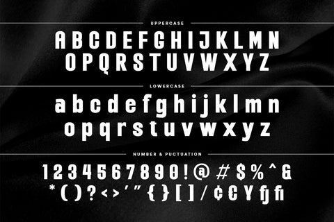 Reganz - A Modern Sans Serif Font Font studioalmeera 