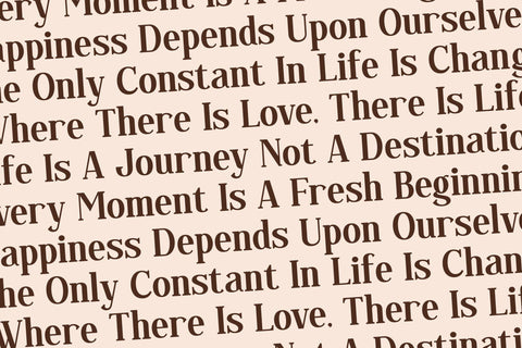 Regflina - Modern Serif Font Font Letterena Studios 