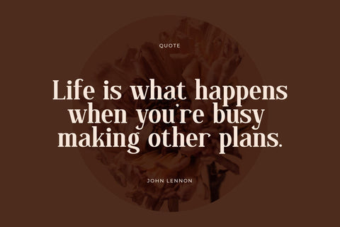 Regflina - Modern Serif Font Font Letterena Studios 