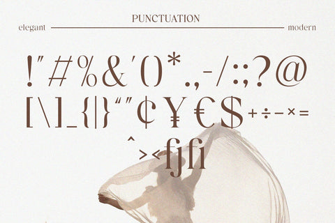 Reign – Display Serif Font Font studioalmeera 