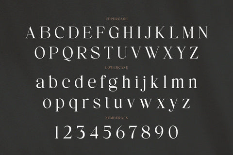 Reign – Display Serif Font Font studioalmeera 