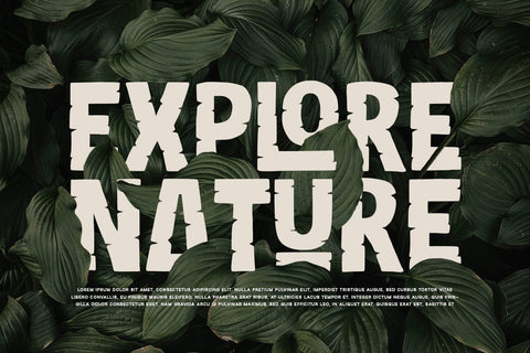 Reliction - Display Font Font Alpaprana Studio 