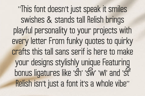 Relish Font – Handwritten Tall Sans Serif for Quotes & Crafts Font TonisArtStudio 