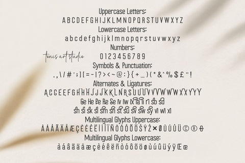 Relish Font – Handwritten Tall Sans Serif for Quotes & Crafts Font TonisArtStudio 