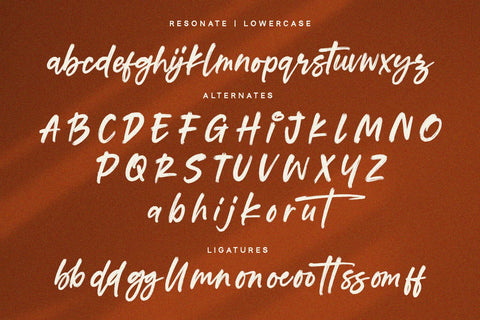 Resonate - Brush Script Font Font Alpaprana Studio 