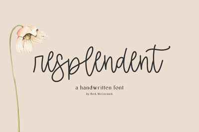 Resplendent Script Font Beck McCormick 