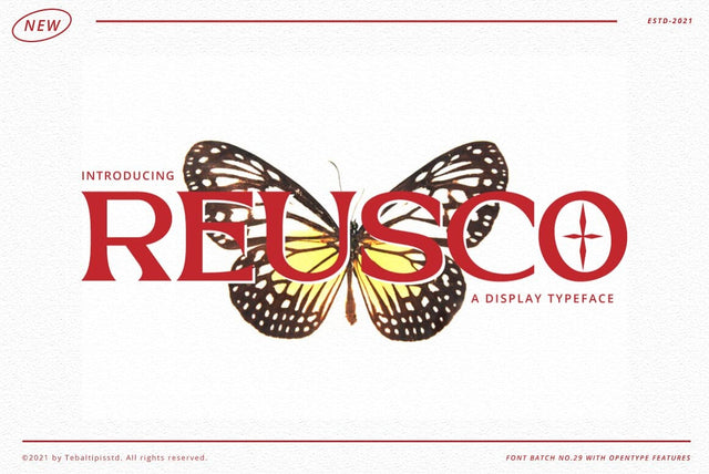 Reusco Display Typeface Font Fadeline Std. 